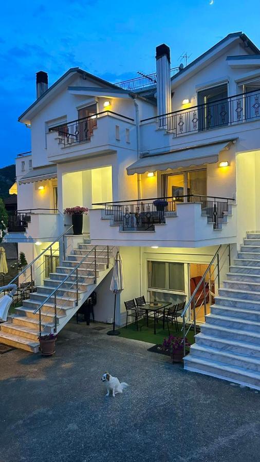 White Paradise PalaiónTsiflíkion Zewnętrze zdjęcie