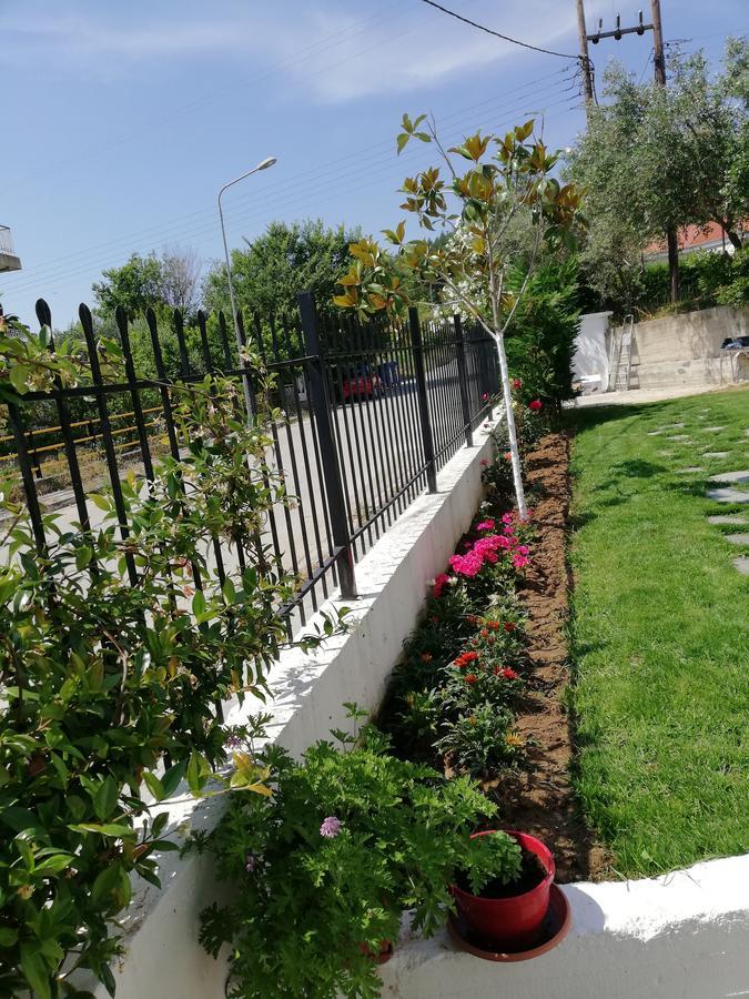 White Paradise PalaiónTsiflíkion Zewnętrze zdjęcie